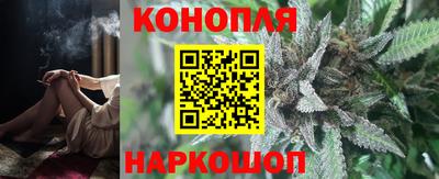 мяу мяу мука Новокубанск