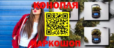 мяу мяу мука Новокубанск