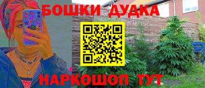 твердый Новозыбков