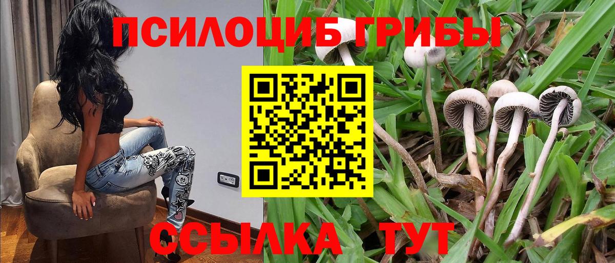 Галлюциногенные грибы ЛСД  Вход с VPN  Сатка 