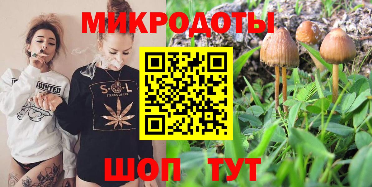 Галлюциногенные грибы Cubensis Сатка